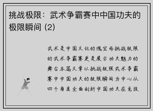 挑战极限：武术争霸赛中中国功夫的极限瞬间 (2)