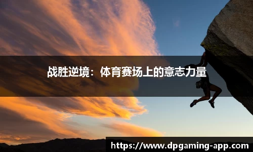 DP真人游戏